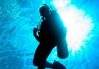 Deep Blue Dive Staff